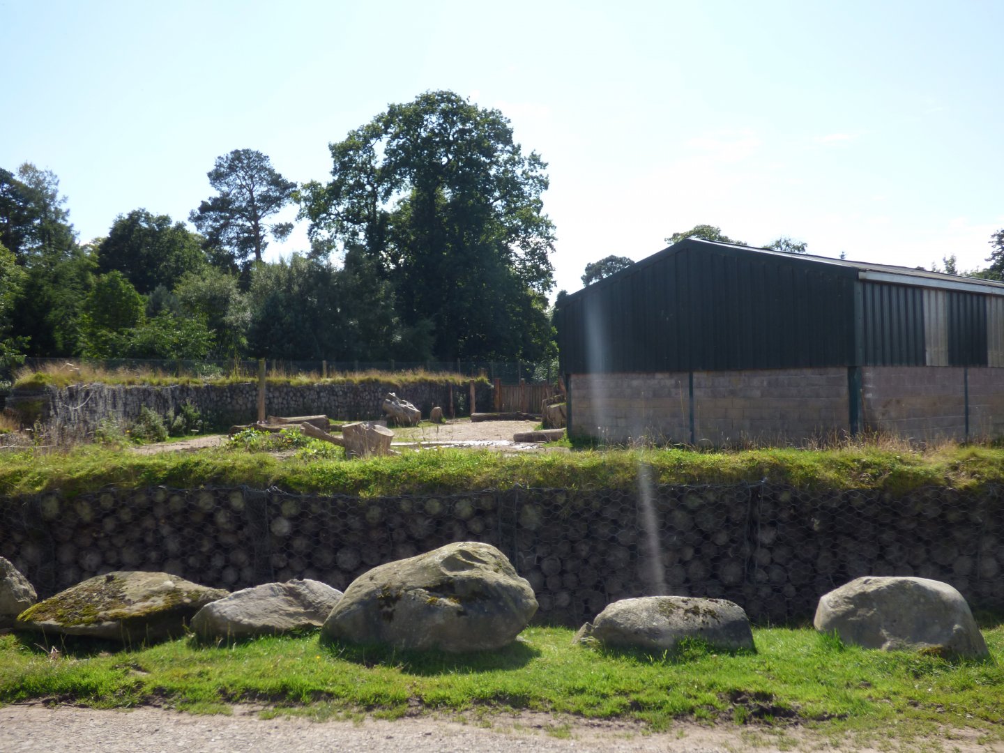 White Rhino Hard-standing (for the bull)