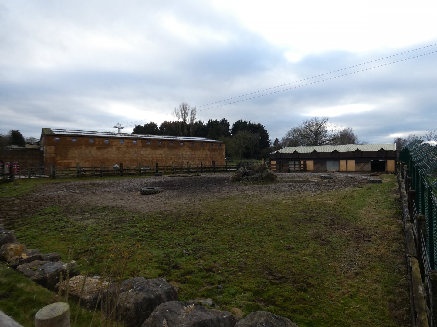 White rhino hard-standing