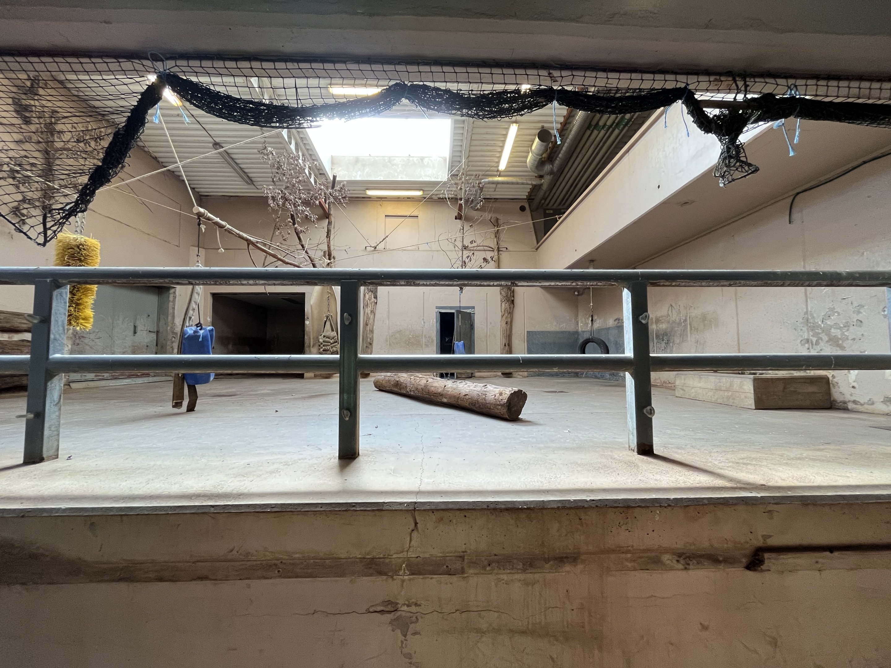 White Rhino Indoor Area