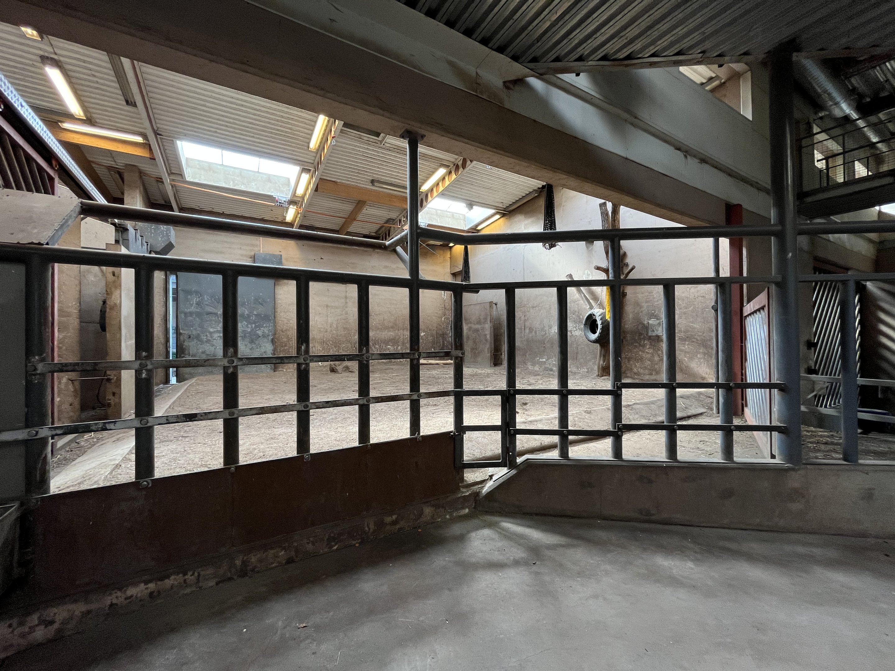 White Rhino Indoor Area