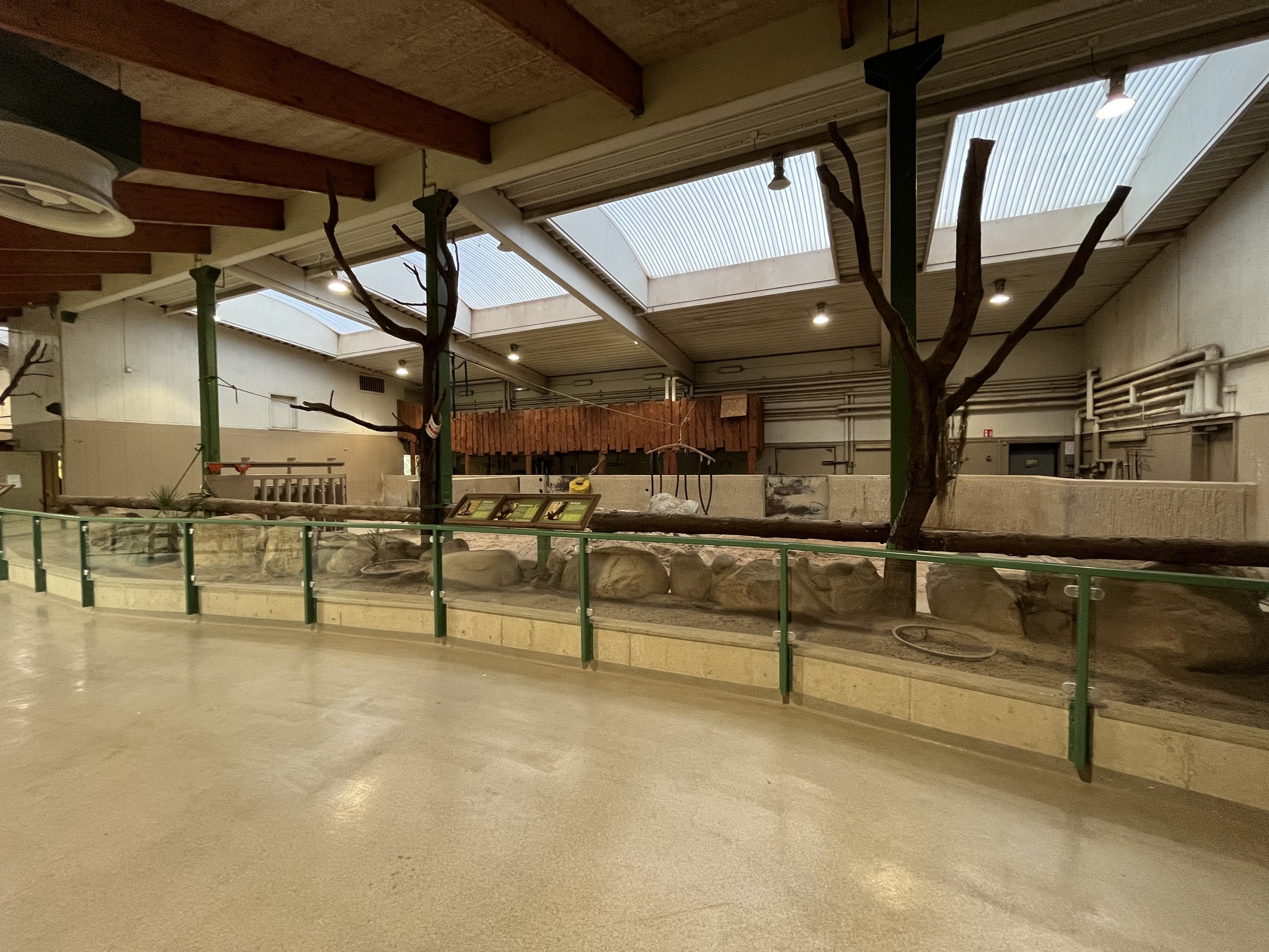 White Rhino - indoor quarters