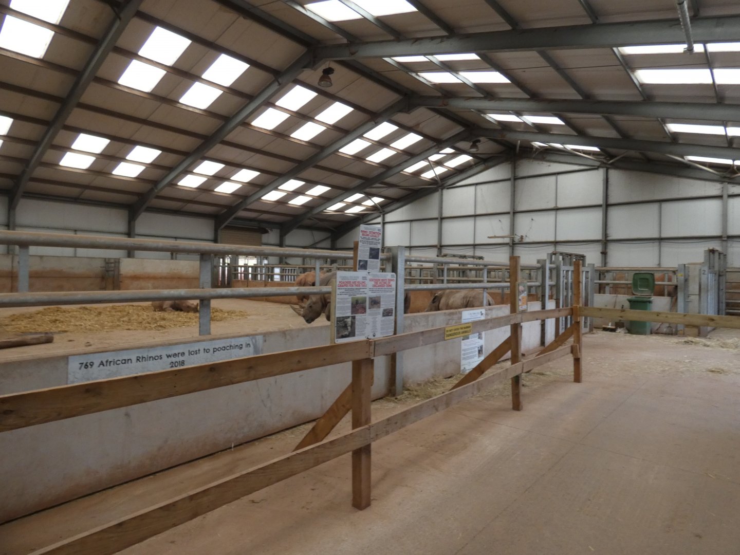 White rhino indoor viewing area