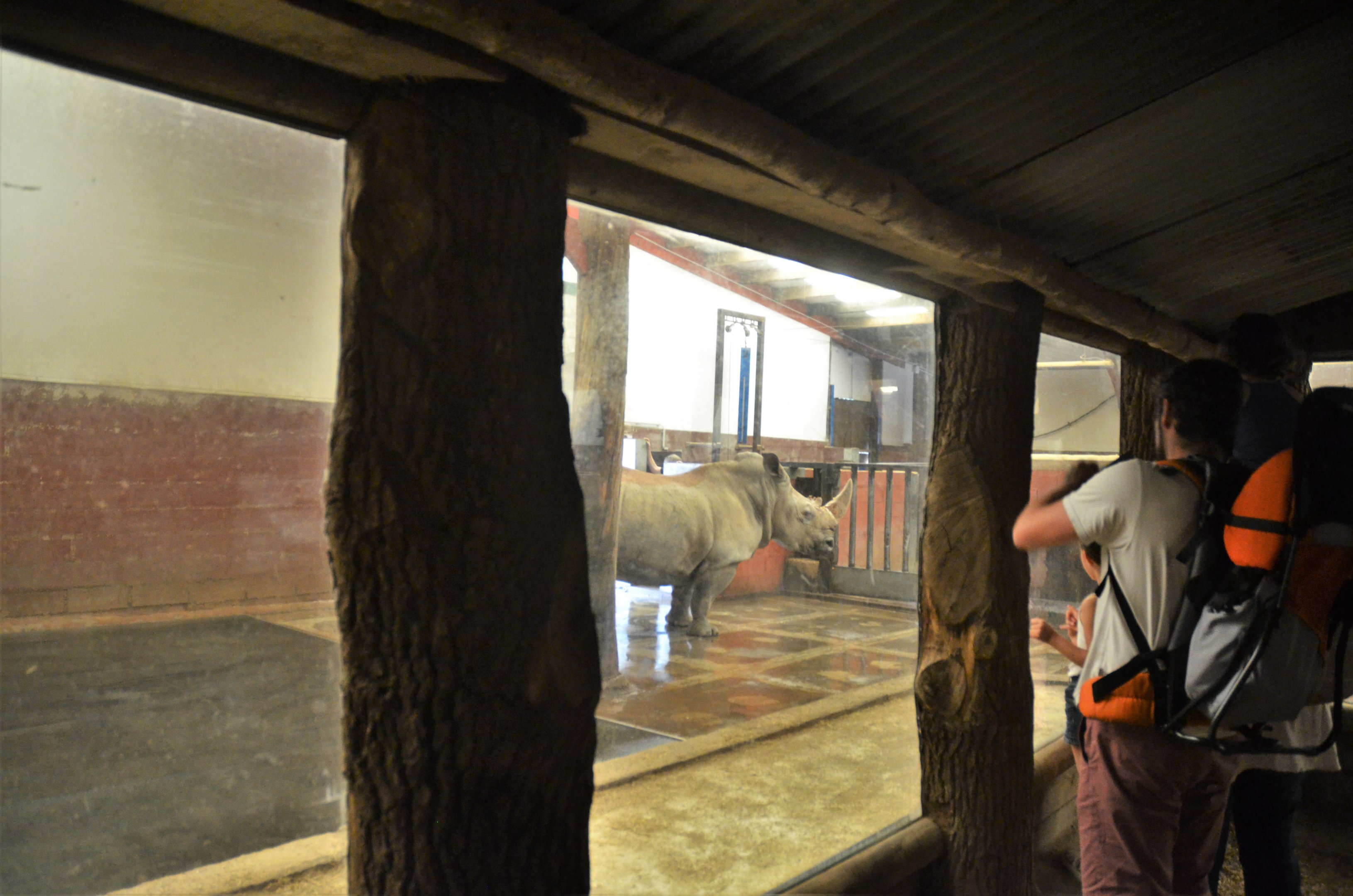 White Rhino Interior Enclosure at CERZA, 10/06/18