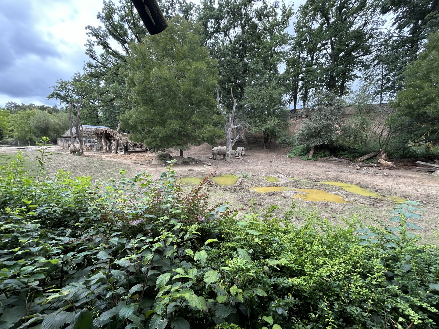 White Rhino & Nile Lechwe Exhibit