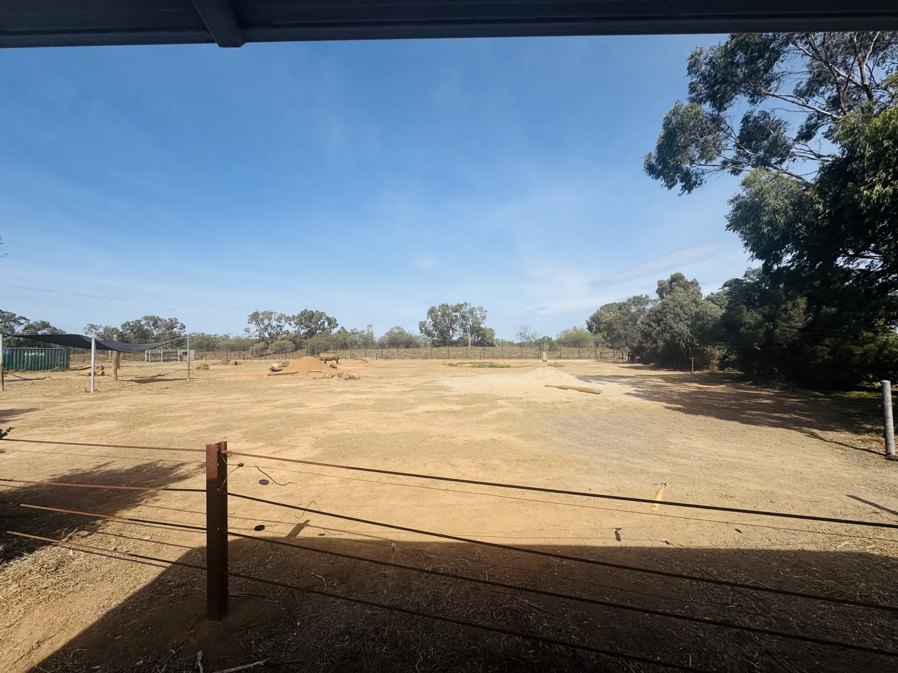 White rhino off-show yard