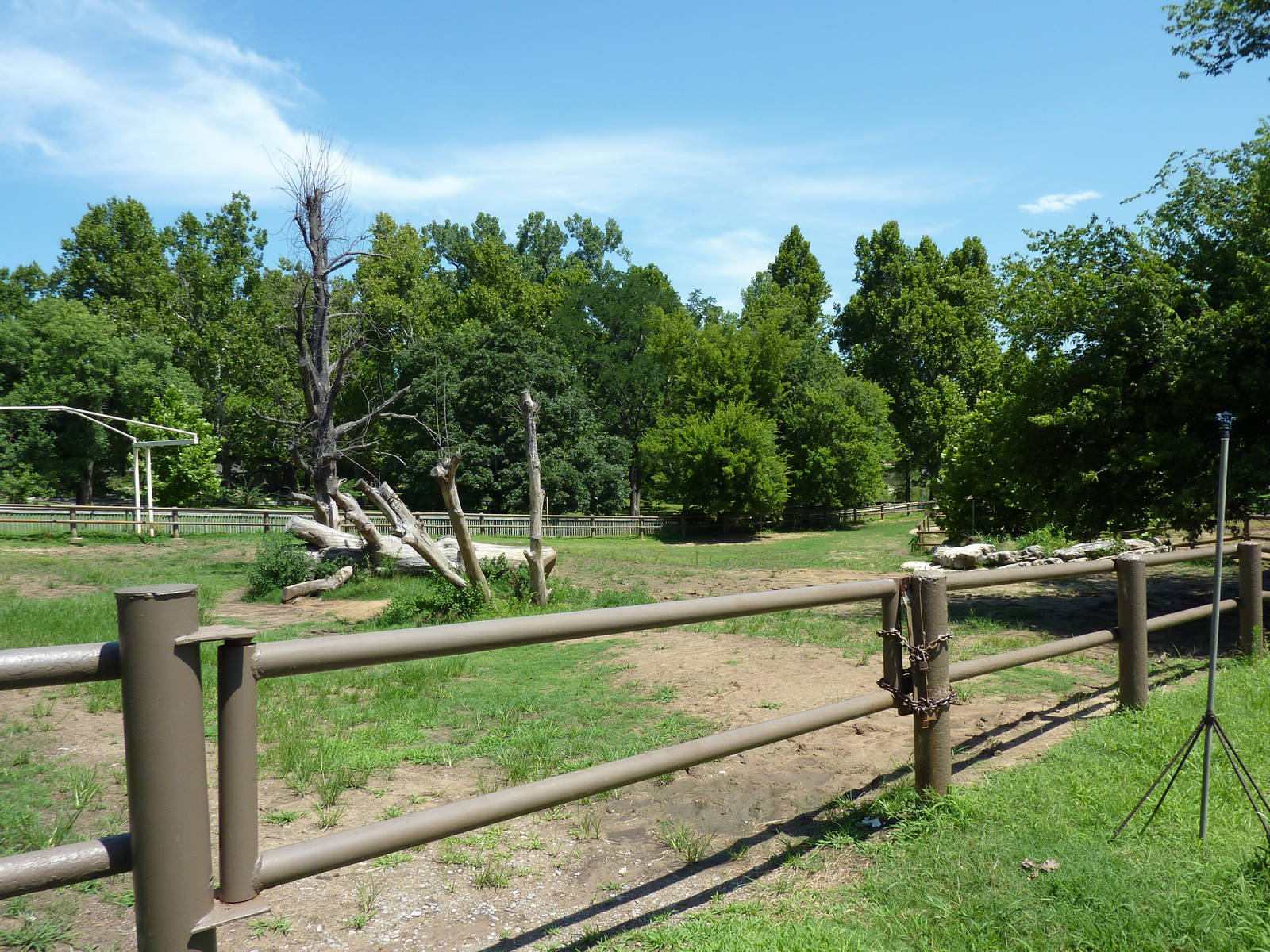 White Rhino Paddock