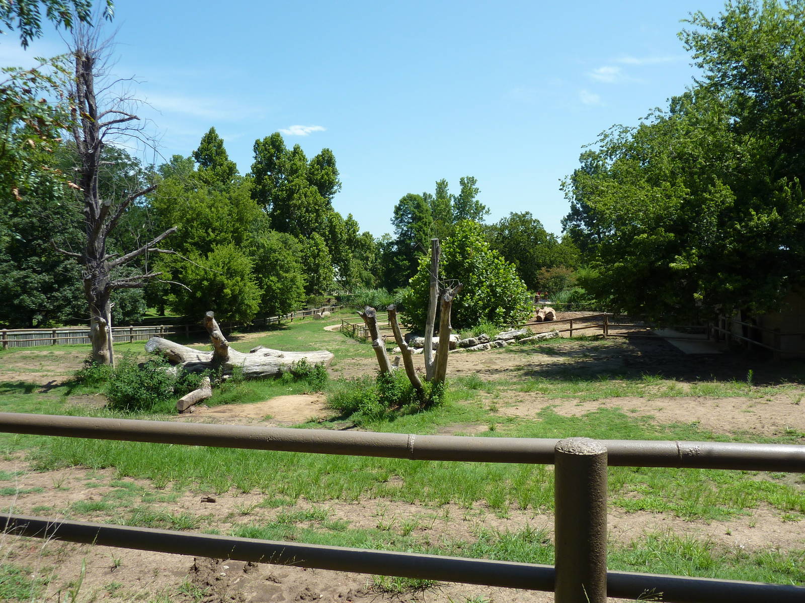 White Rhino Paddock