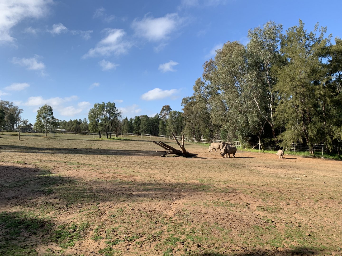 White Rhino Paddock