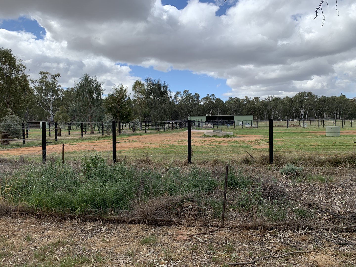 White Rhino Paddocks