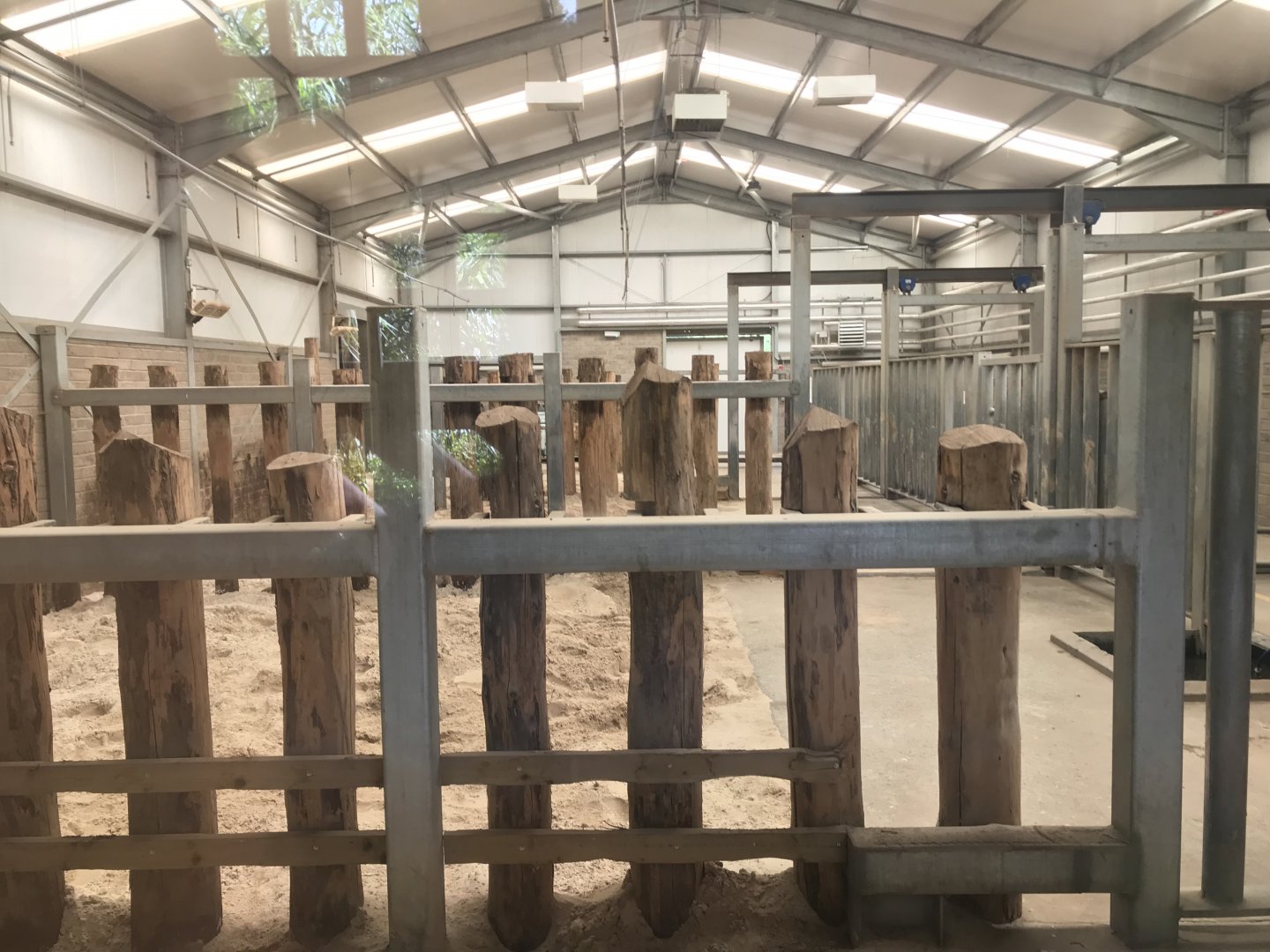 White rhino sleeping quarters