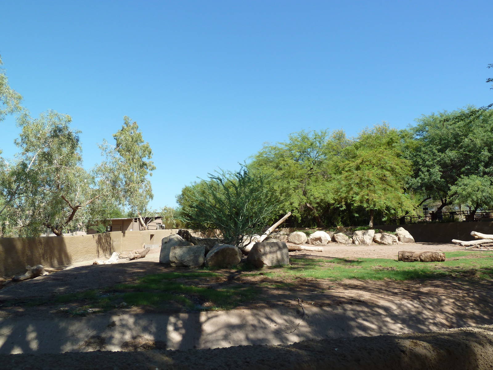 White Rhino/Speke's Gazelle/Egyptian Goose Exhibit