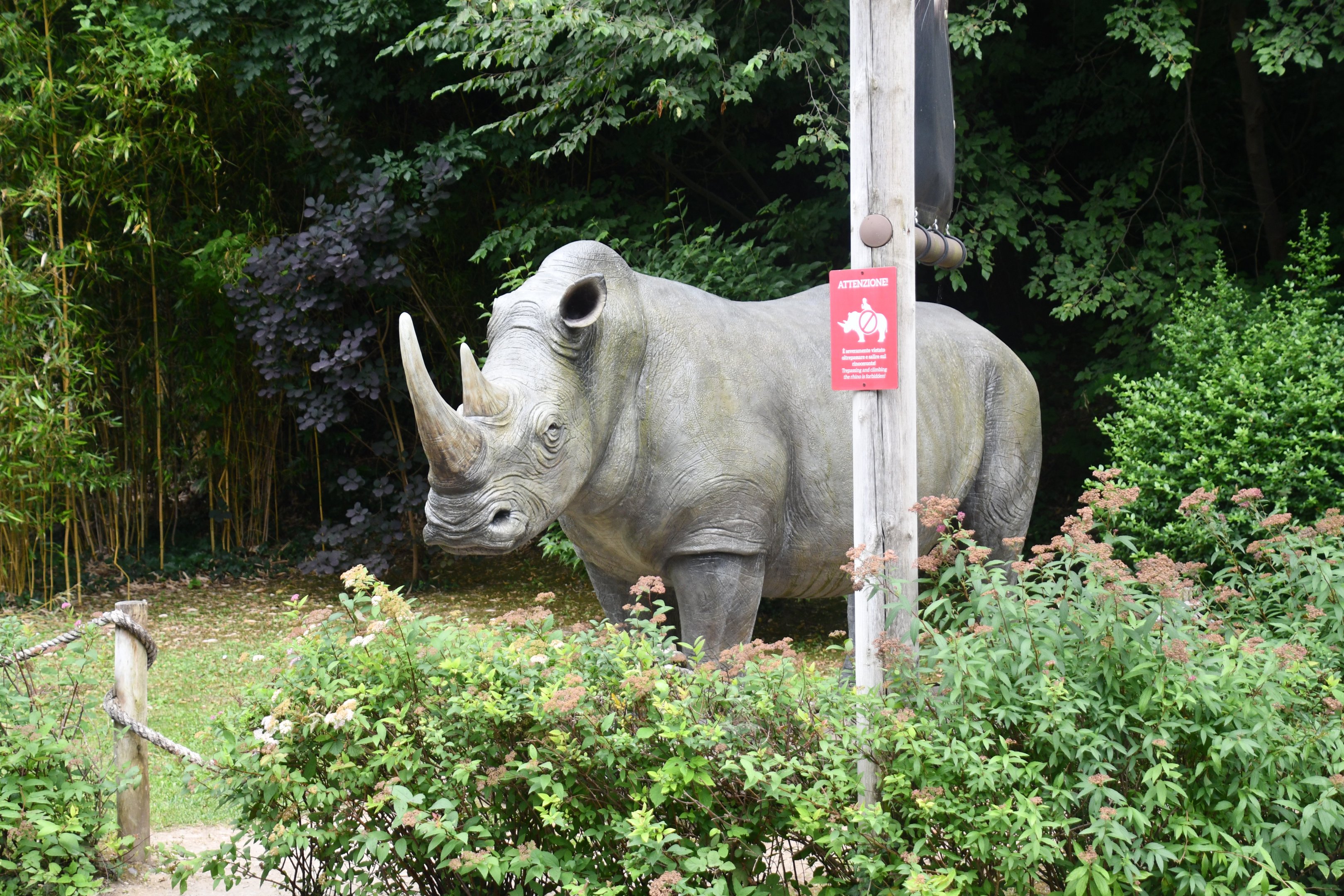 White Rhino statue in front of the entrance