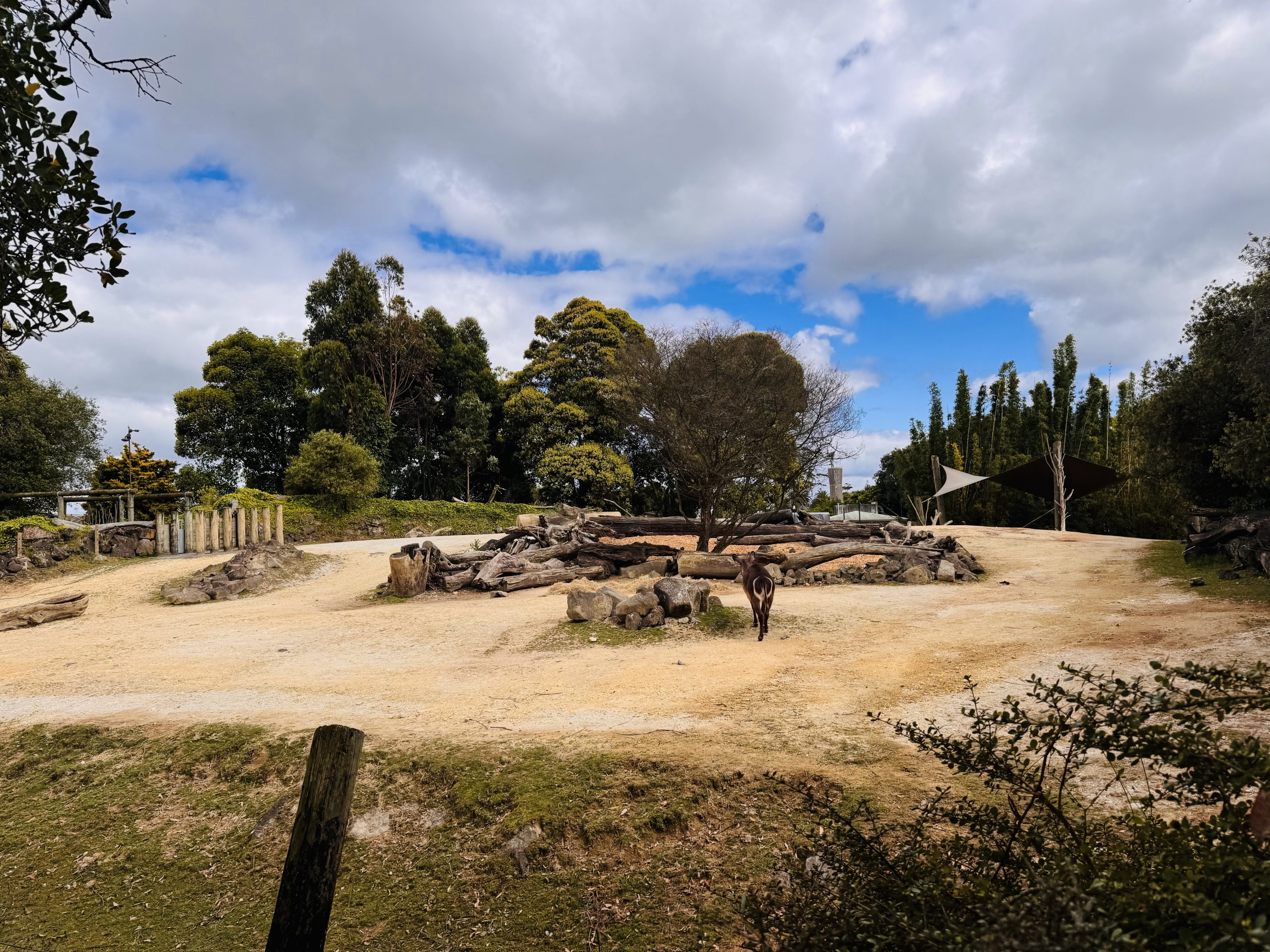 White rhino/waterbuck/nyala enclosure