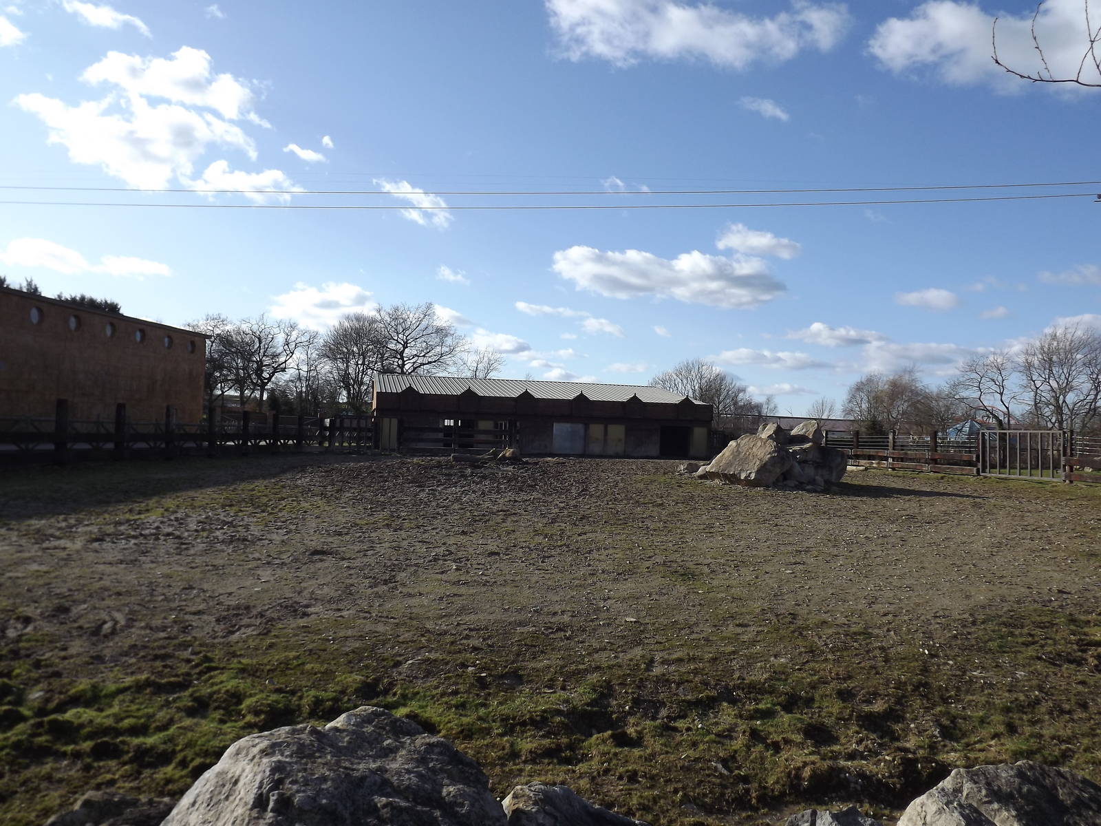 White Rhino yard at Flamingoland 19/02/12