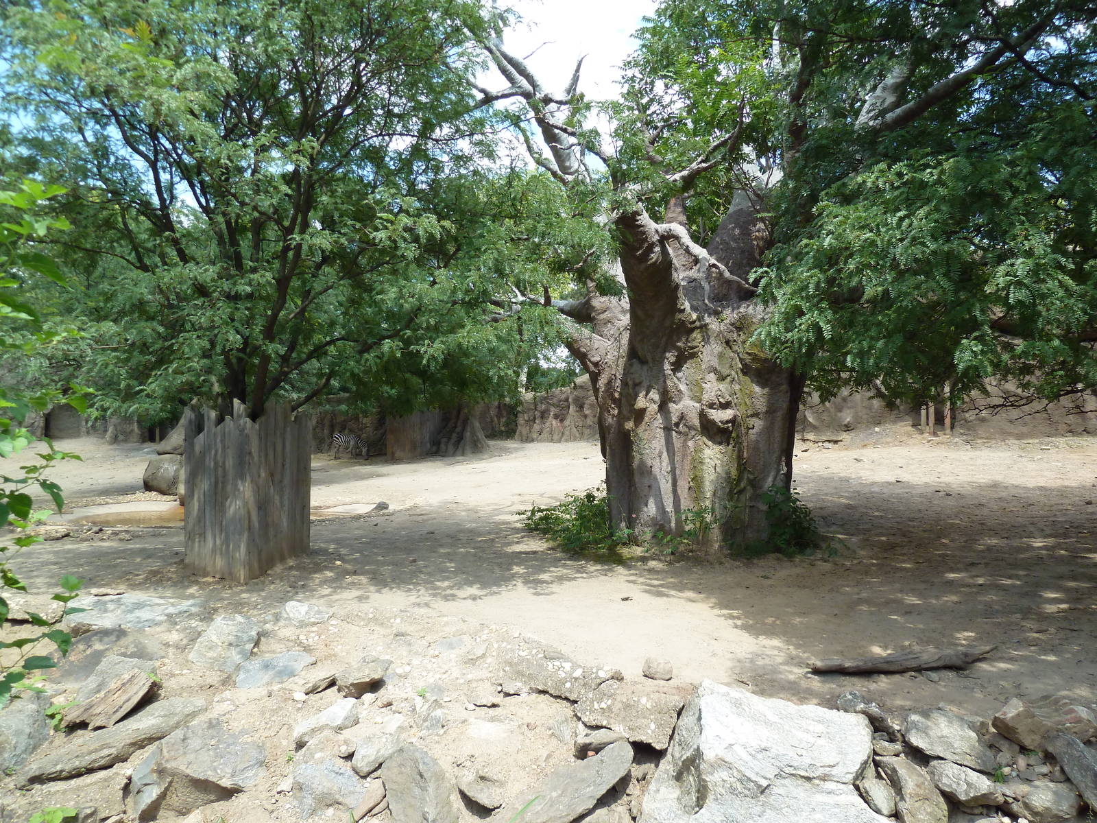 White Rhino/Zebra Exhibit