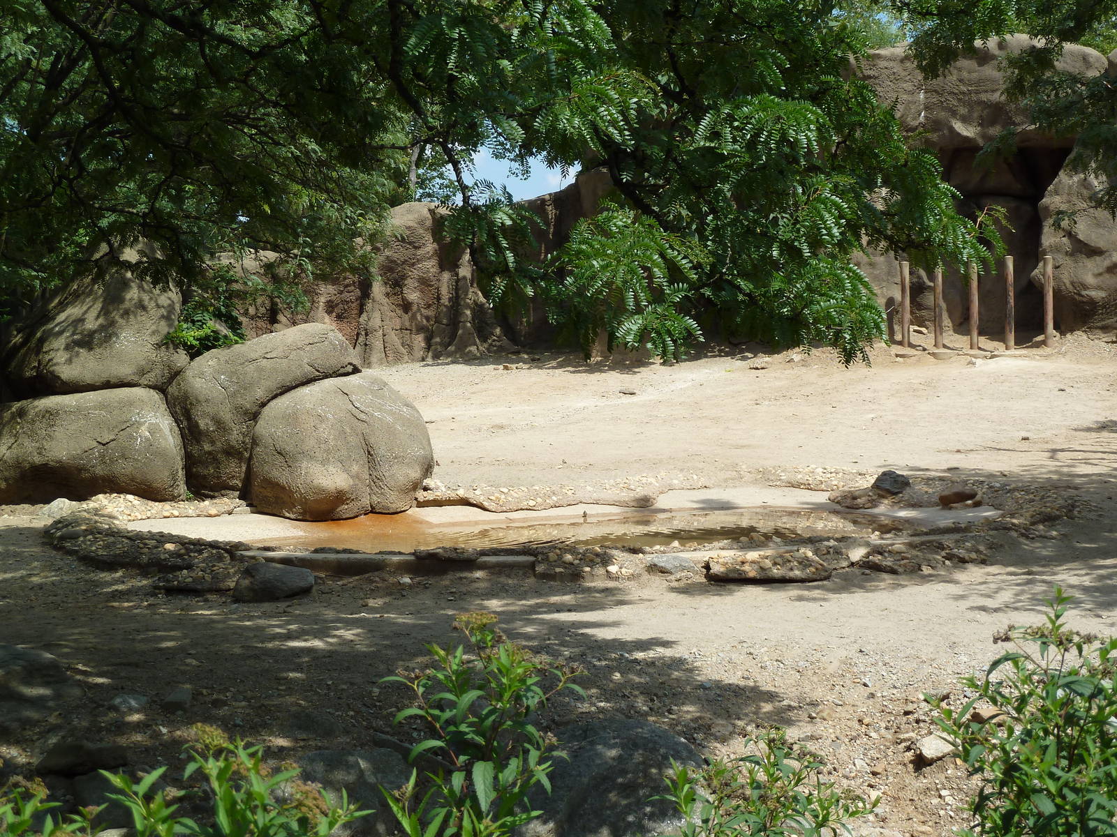 White Rhino/Zebra Exhibit