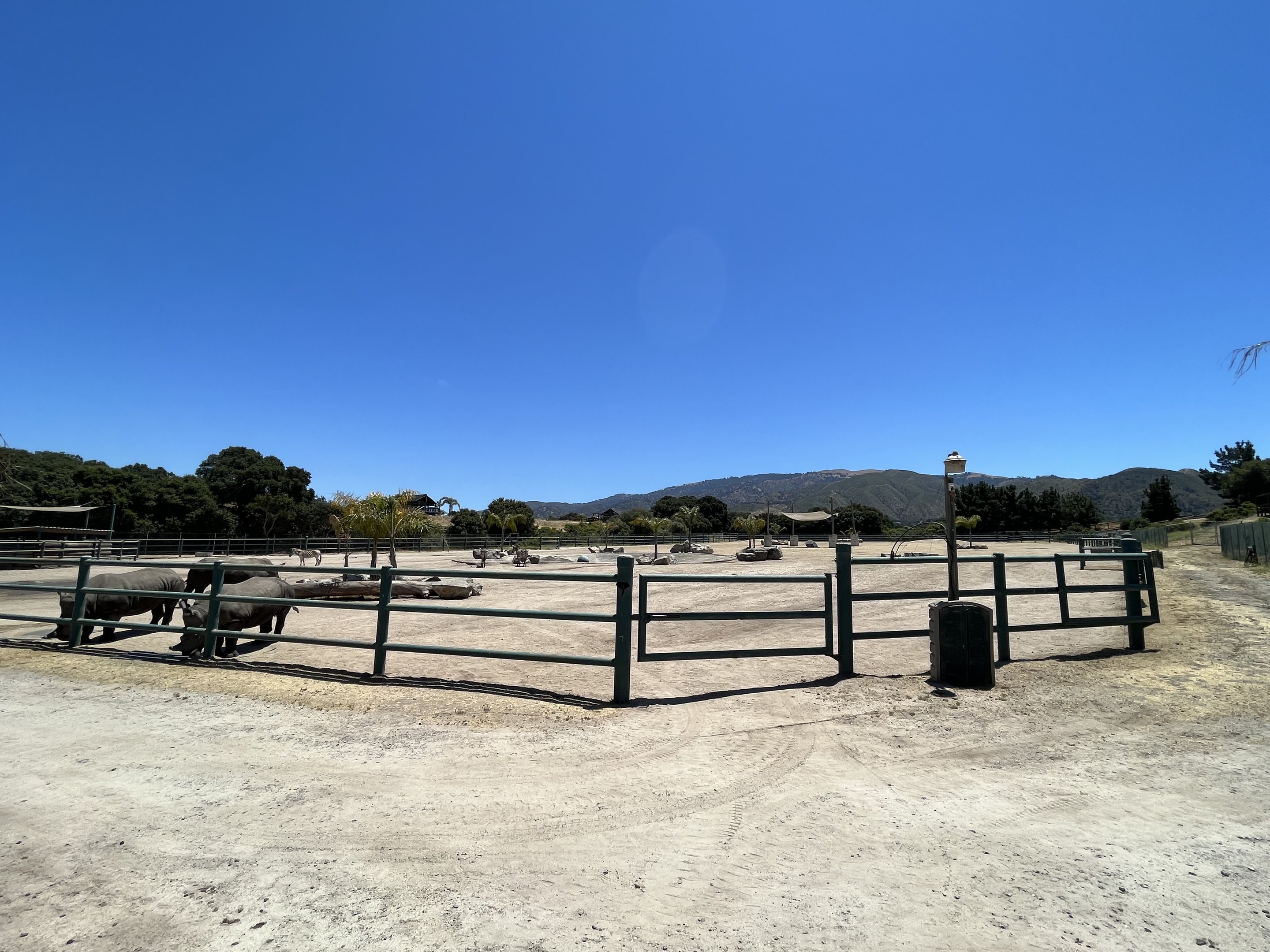 White Rhino/Zebra Exhibit