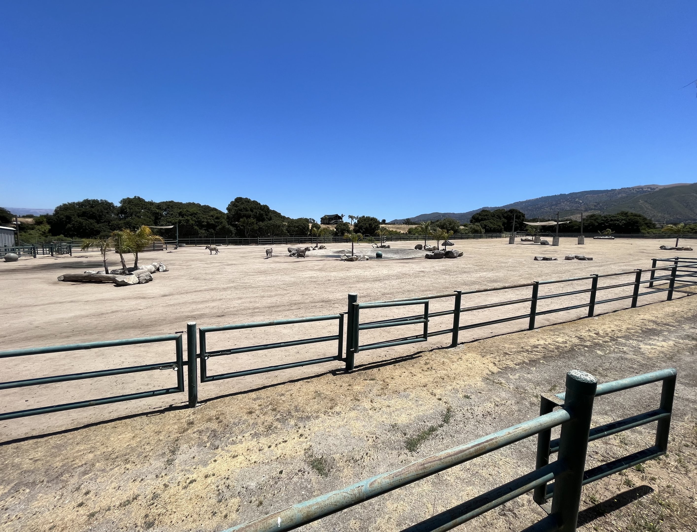 White Rhino/Zebra Exhibit