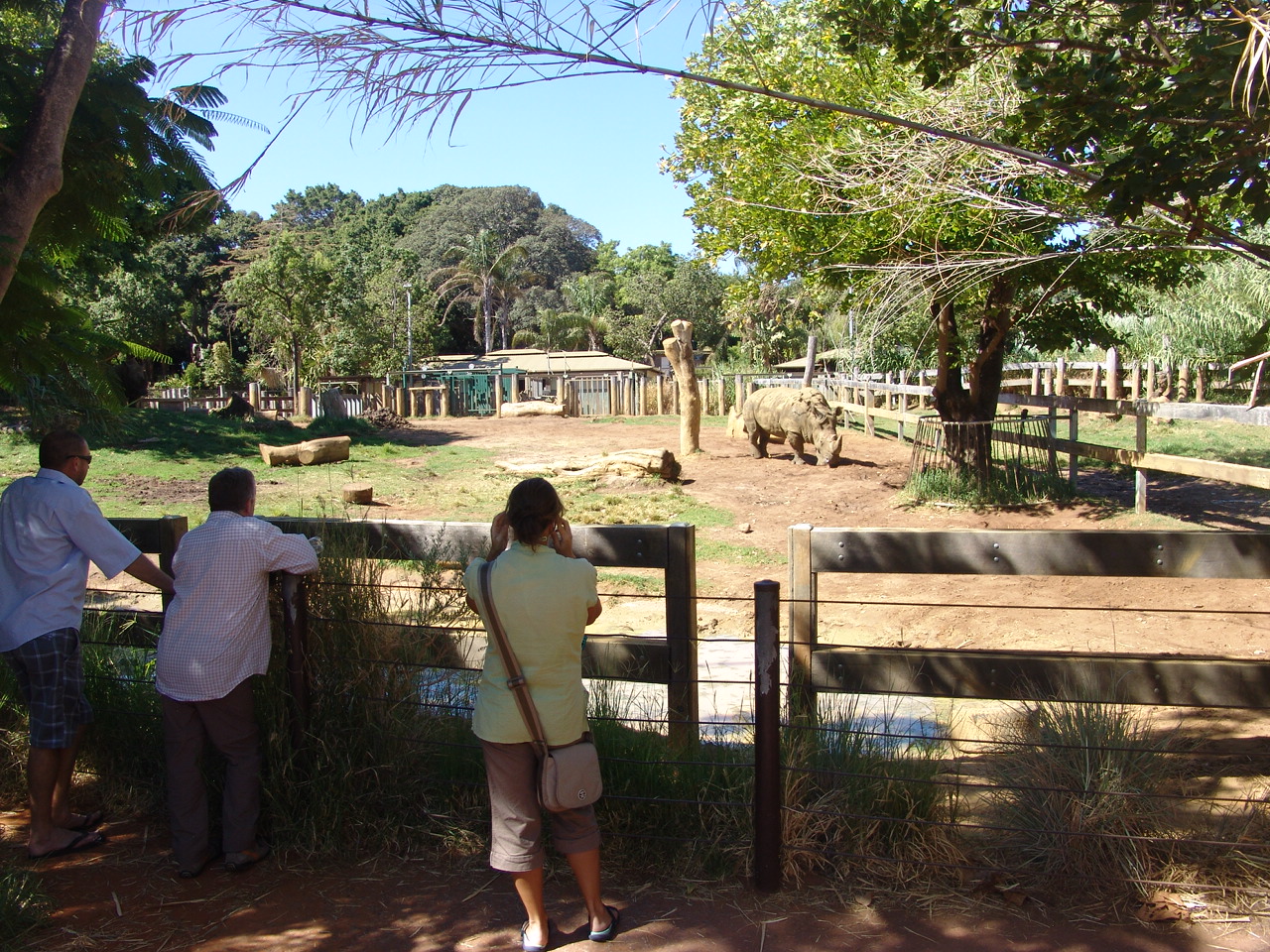 White Rhinoceros (Ceratotherium simum) enclosure