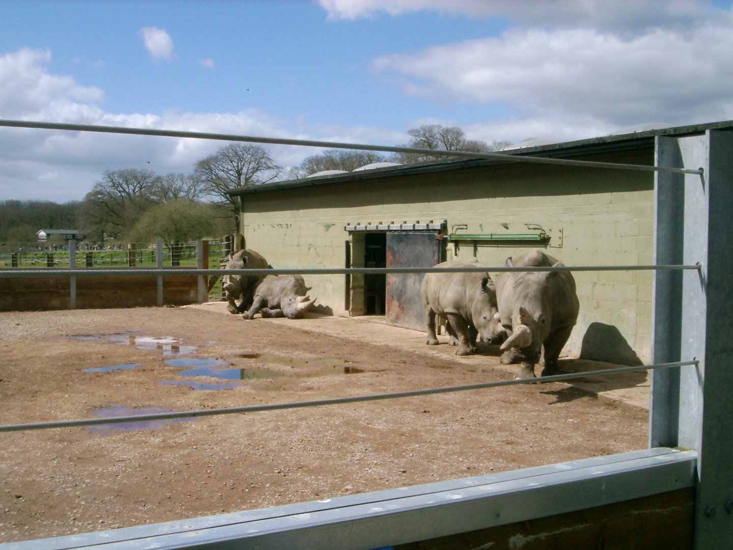 White Rhinoceros crash, April 2006
