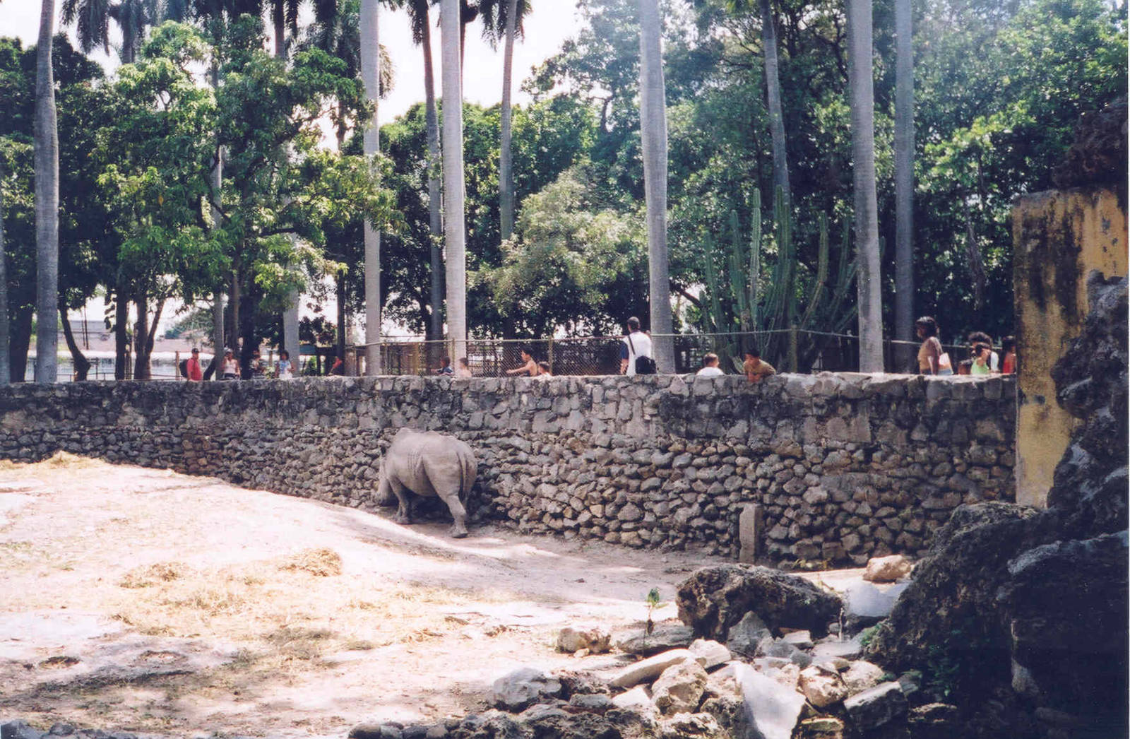 White Rhinoceros Enclosure - Havana Zoo, Cuba 2004