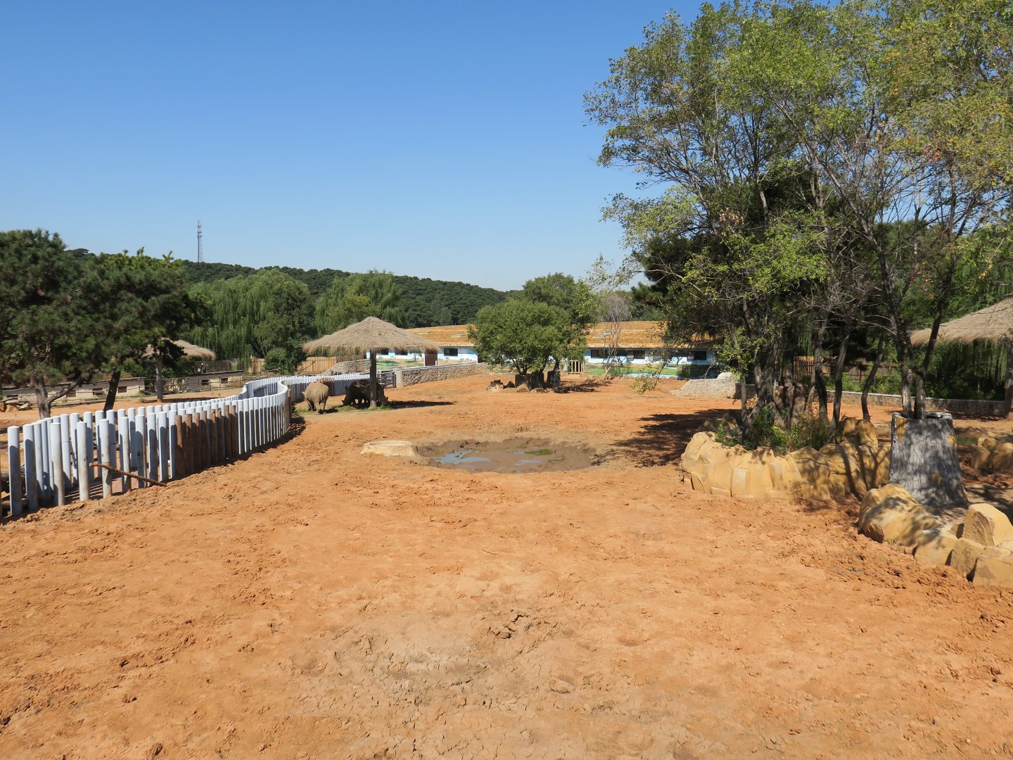 white rhinoceros enclosure