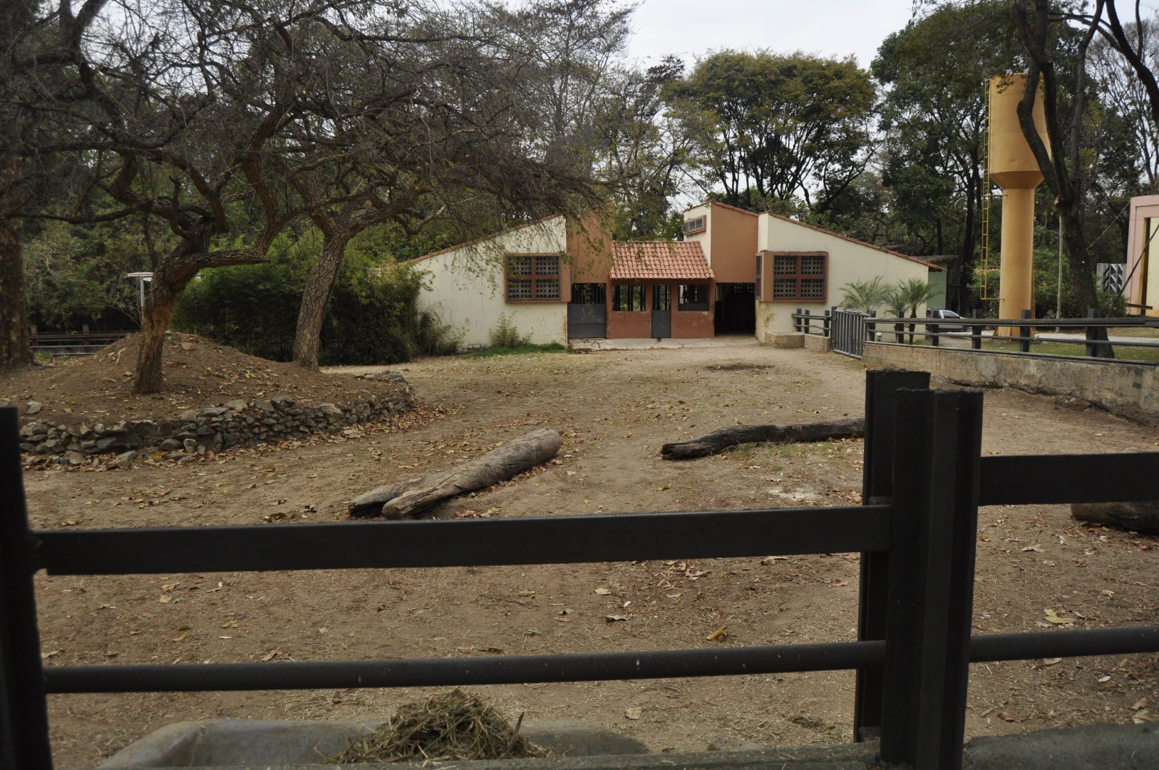 White rhinoceros enclosure