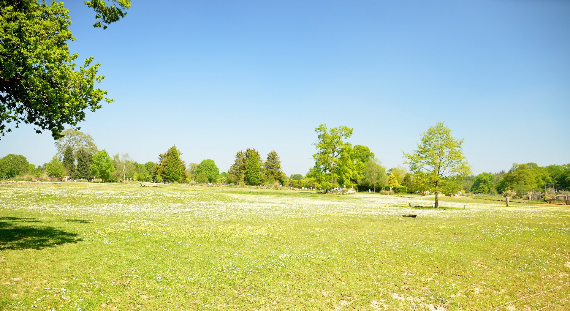 White Rhinoceros Enclosure