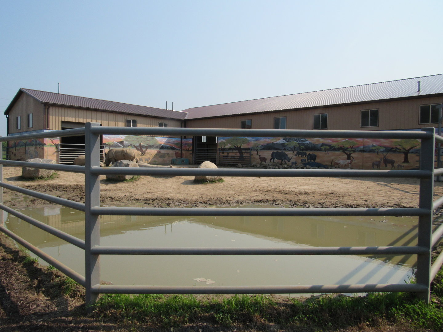 White Rhinoceros Exhibit (New in 2021)