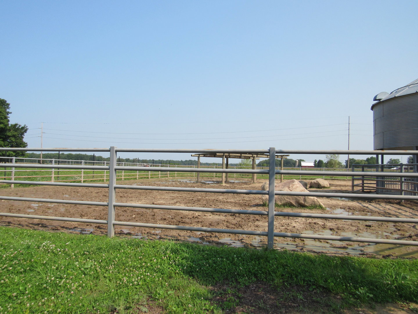 White Rhinoceros Exhibit (New in 2021)