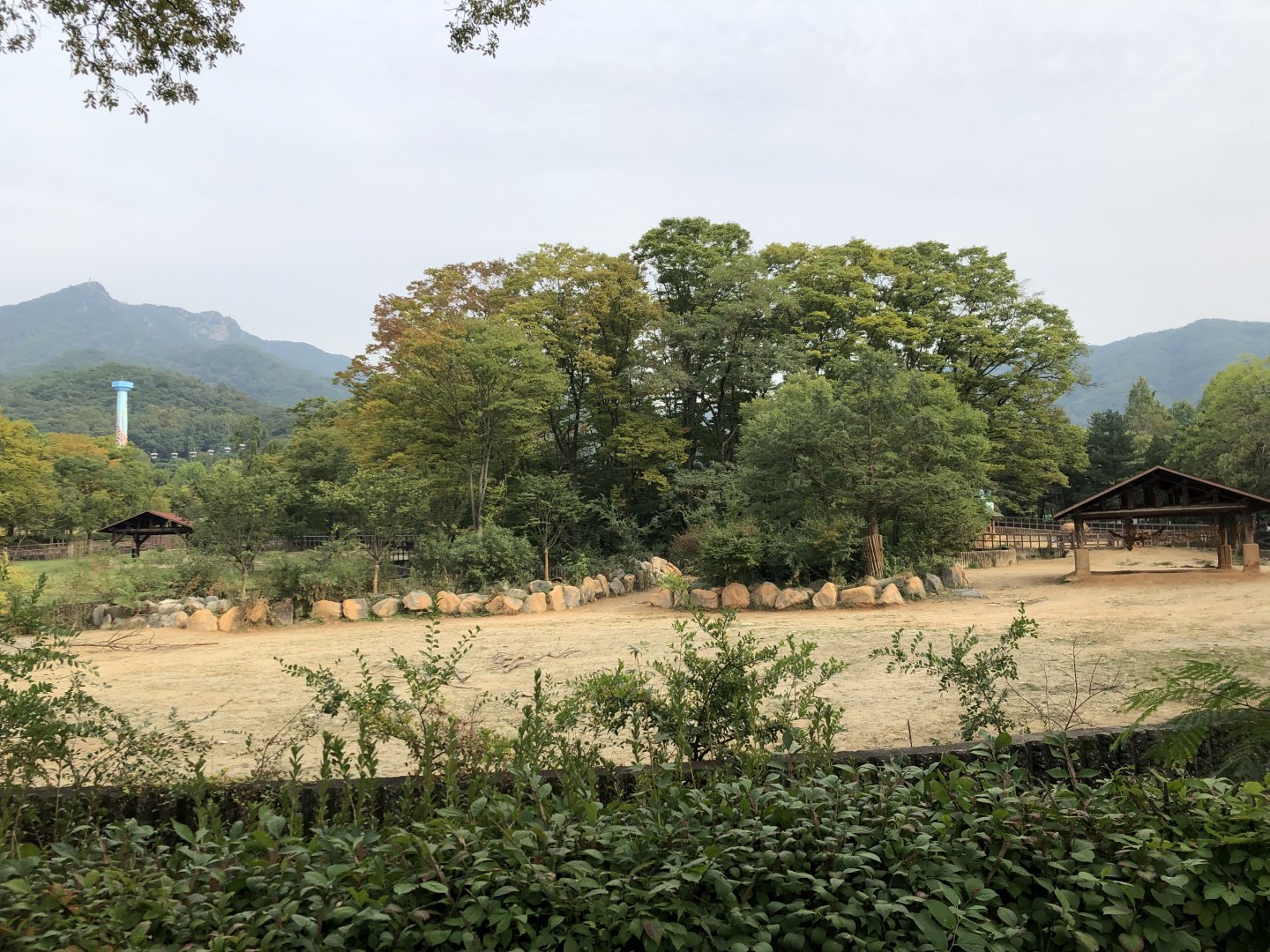 White Rhinoceros Exhibit