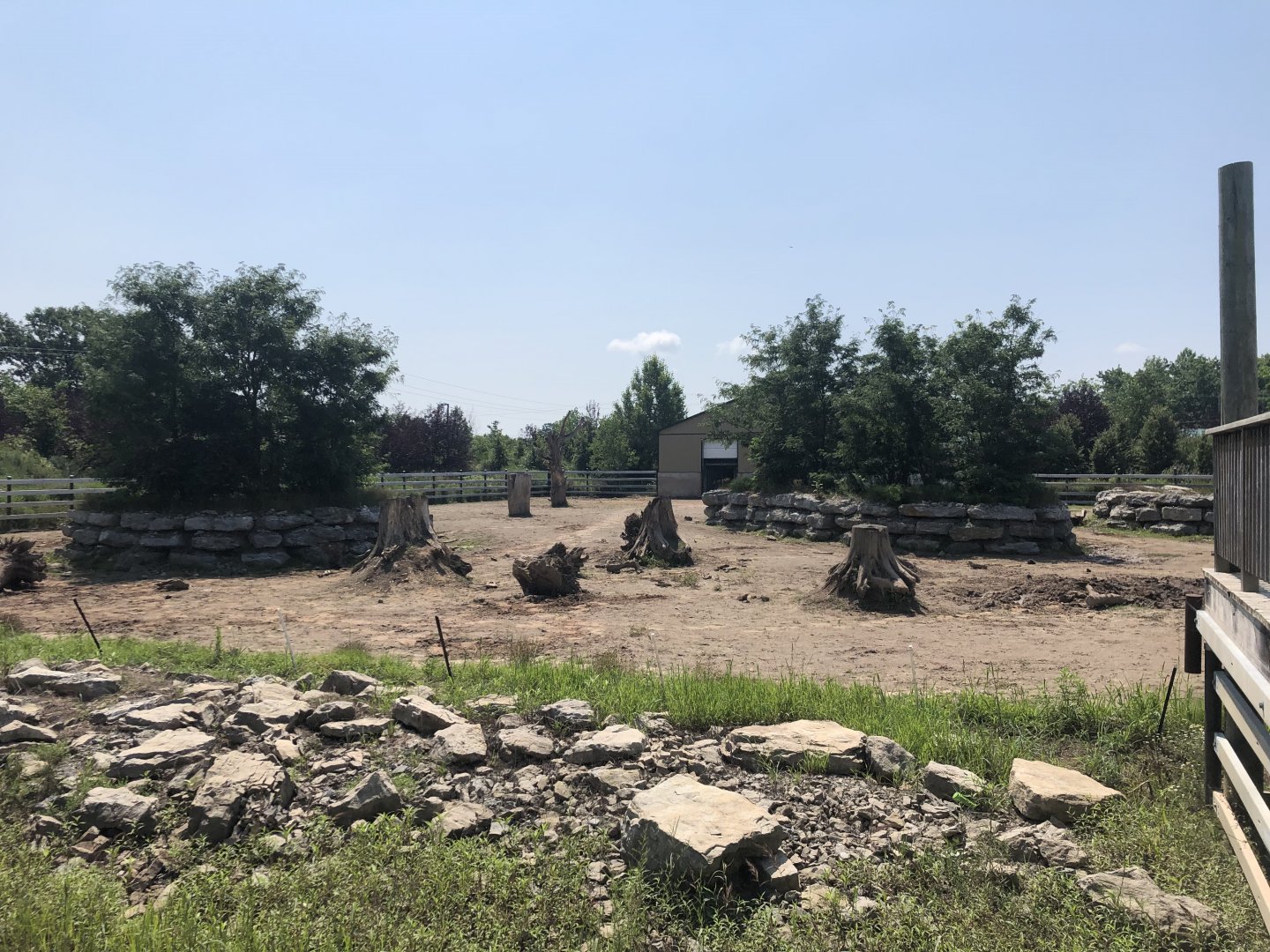 White Rhinoceros Exhibit