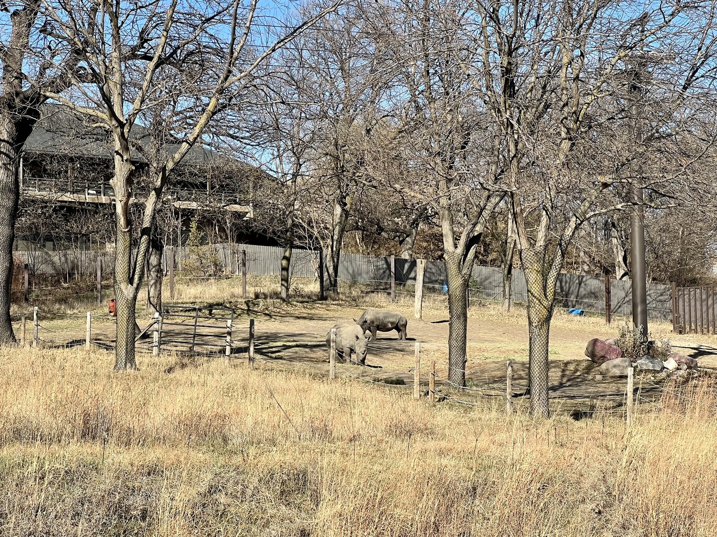 White Rhinoceros Exhibit