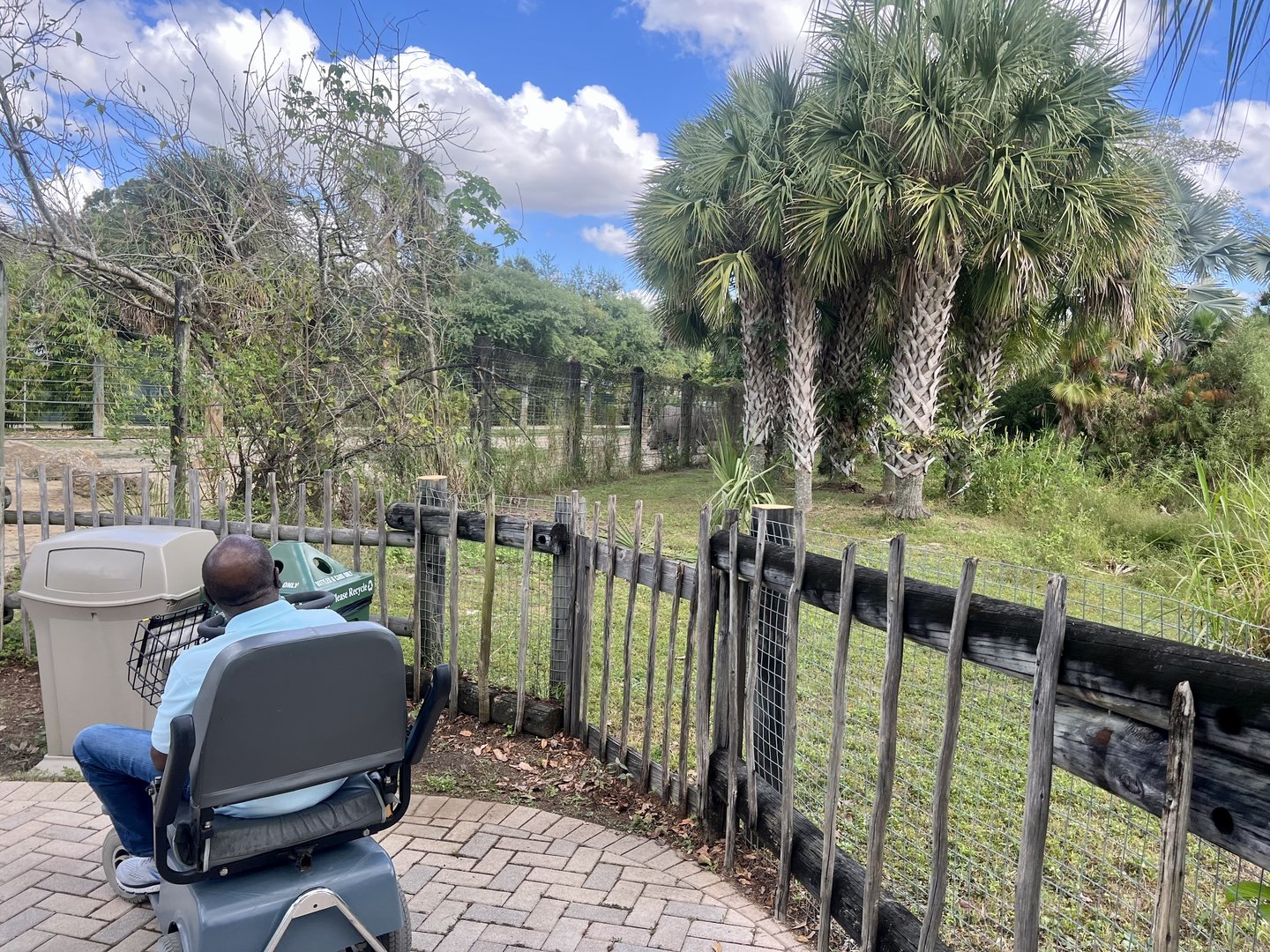 White Rhinoceros Exhibit