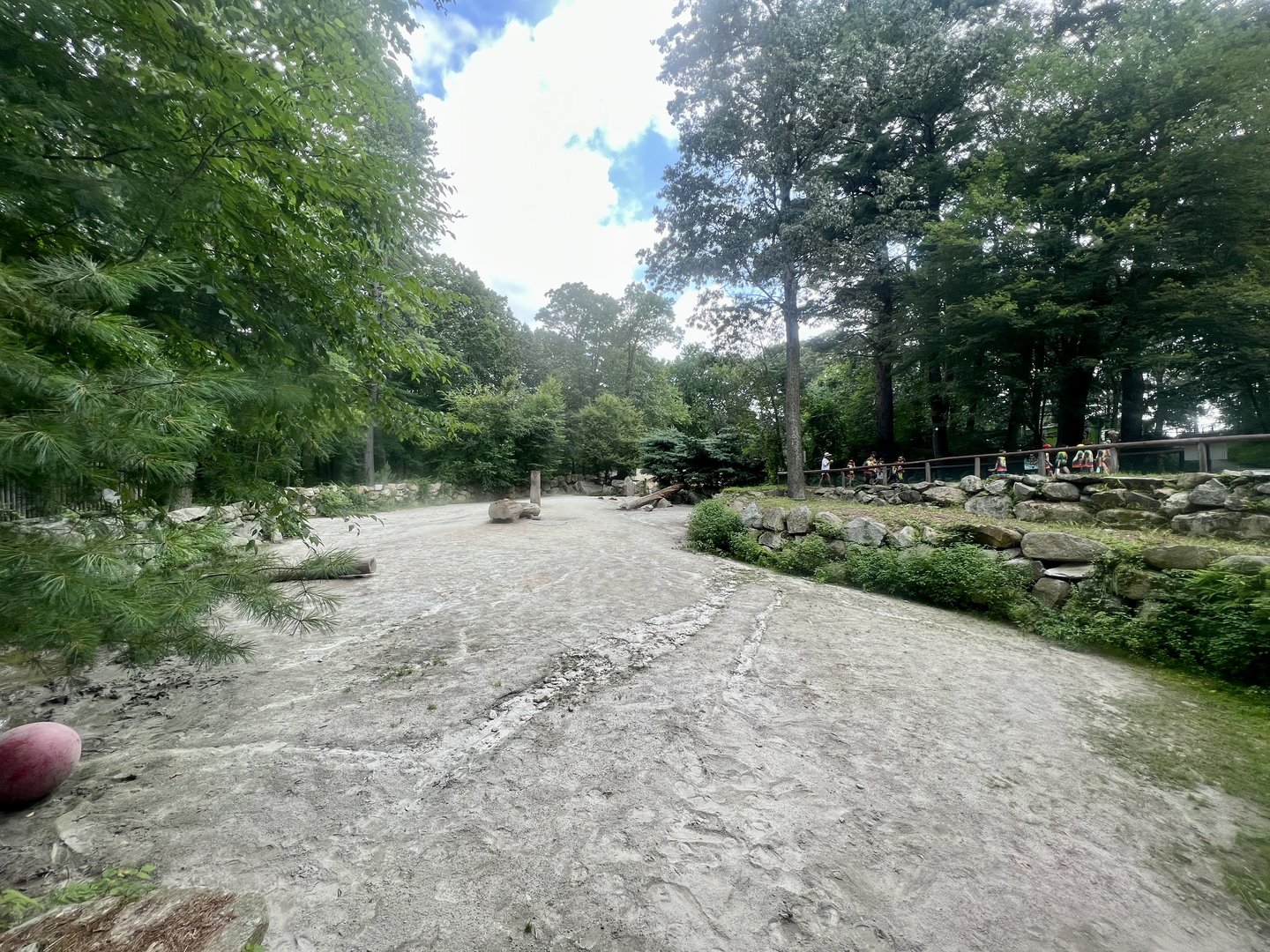 White Rhinoceros Exhibit