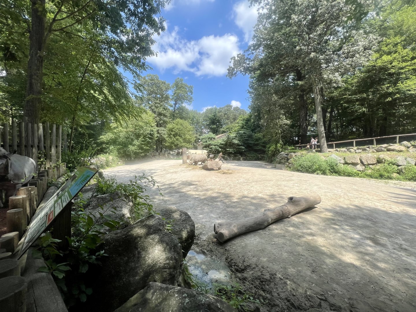 White Rhinoceros Exhibit