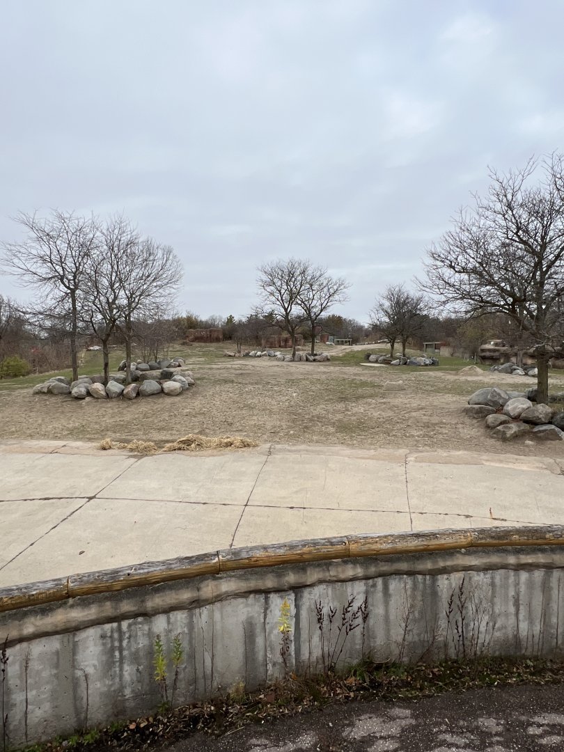 White Rhinoceros Exhibit