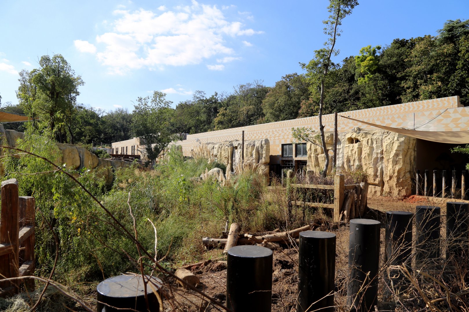 White Rhinoceros Exhibit
