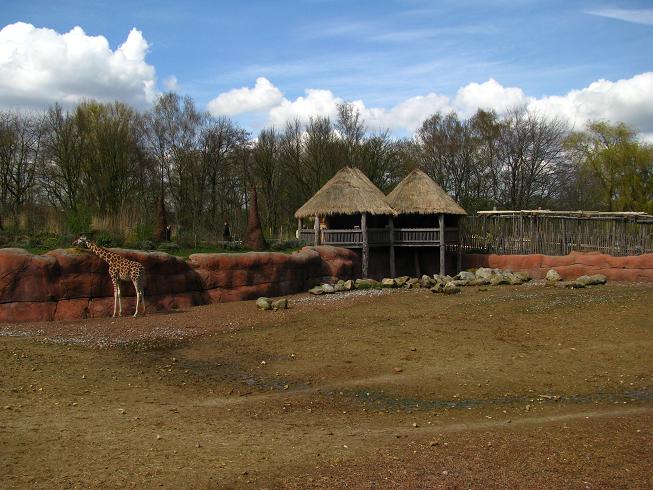 White Rhinoceros Exhitbit