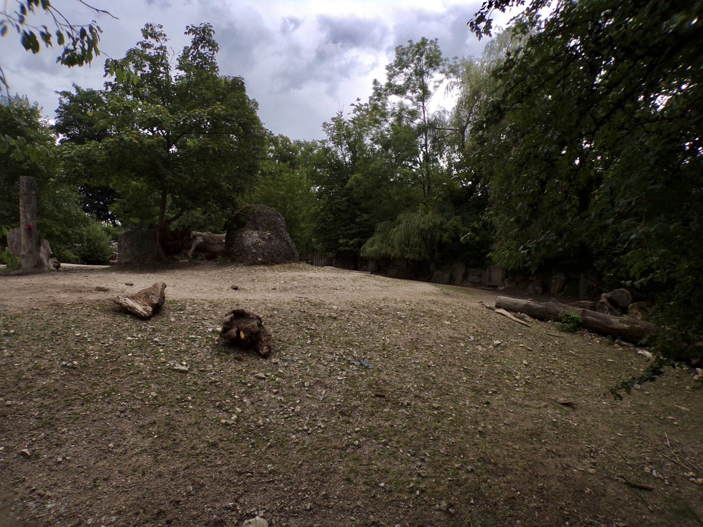 White rhinoceros hardstanding enclosure 13.7.25