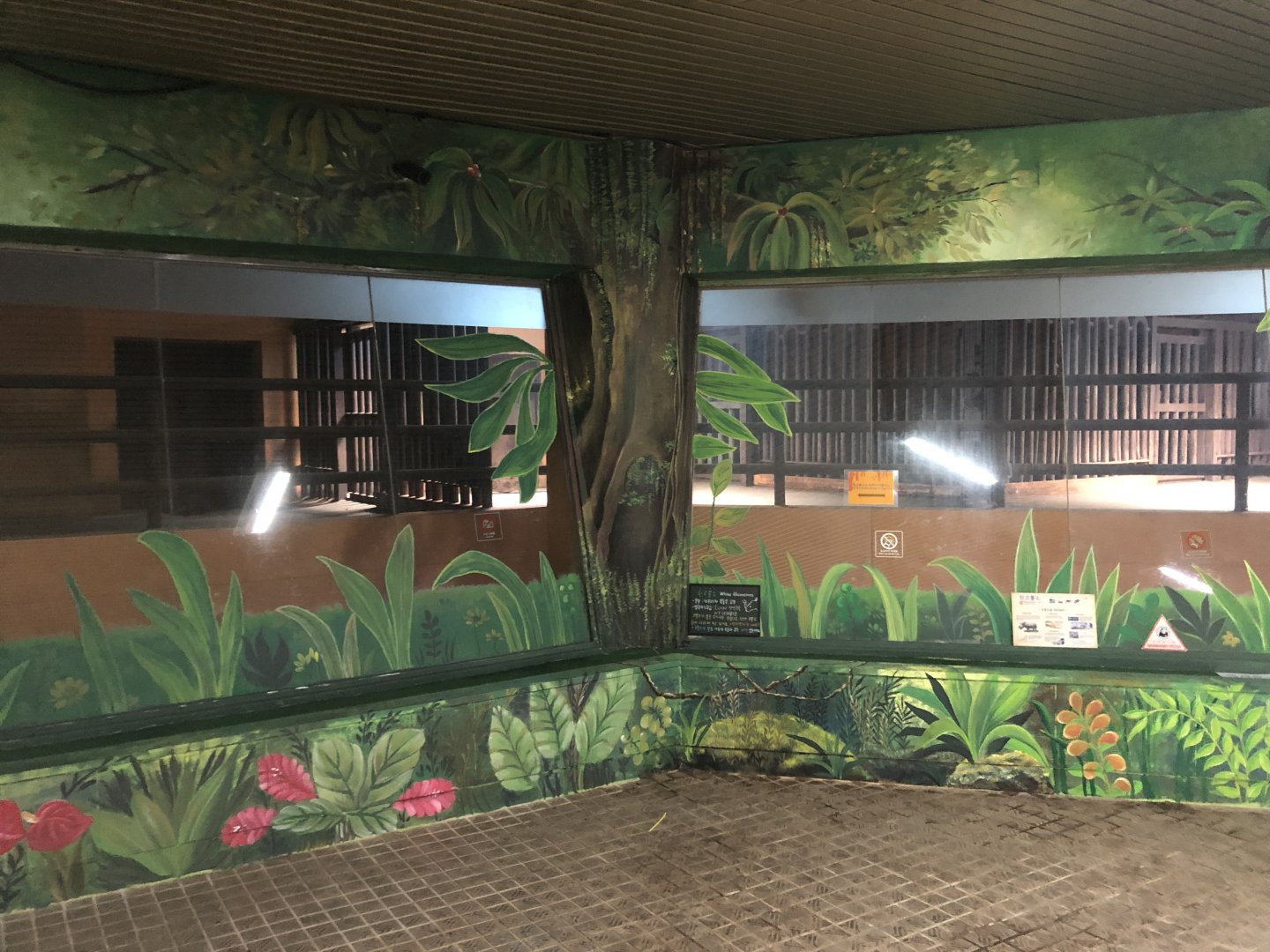 White Rhinoceros Indoor Holding