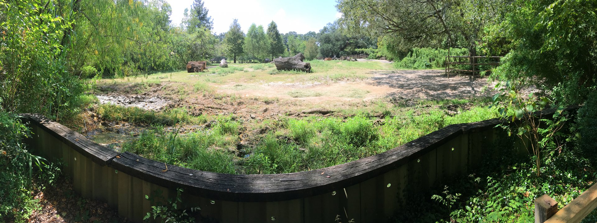 White Rhinoceros, Plains Zebra & Wildebeest Exhibit