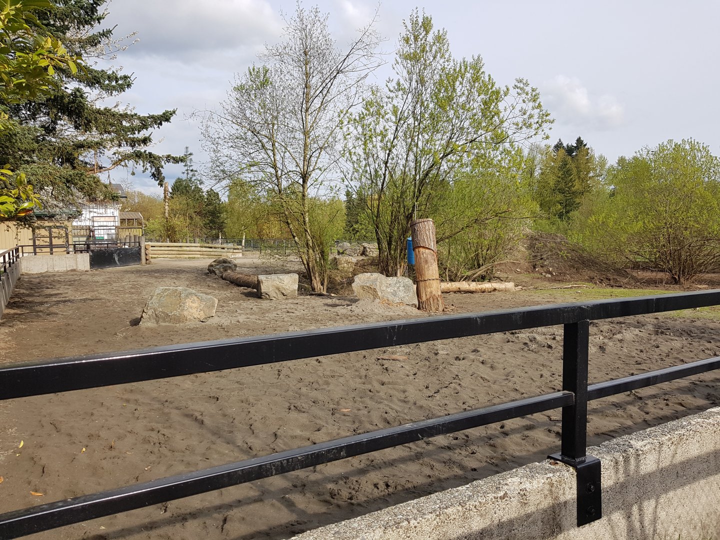 White Rhinoceros & Red River Hog Exhibit