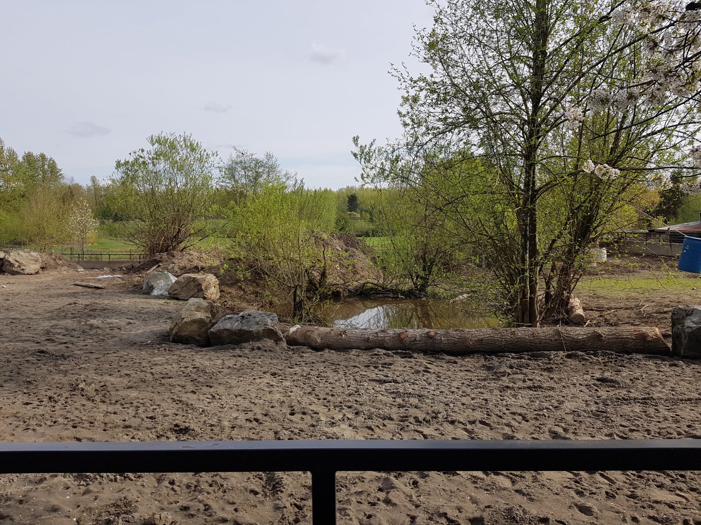 White Rhinoceros & Red River Hog Exhibit