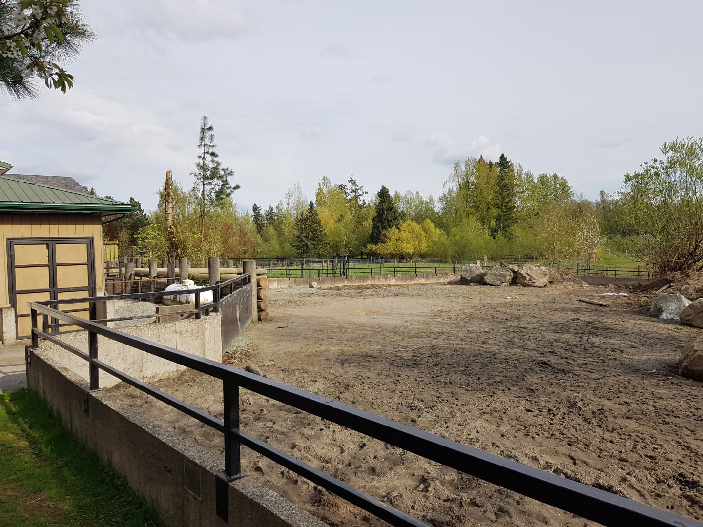White Rhinoceros & Red River Hog Exhibit