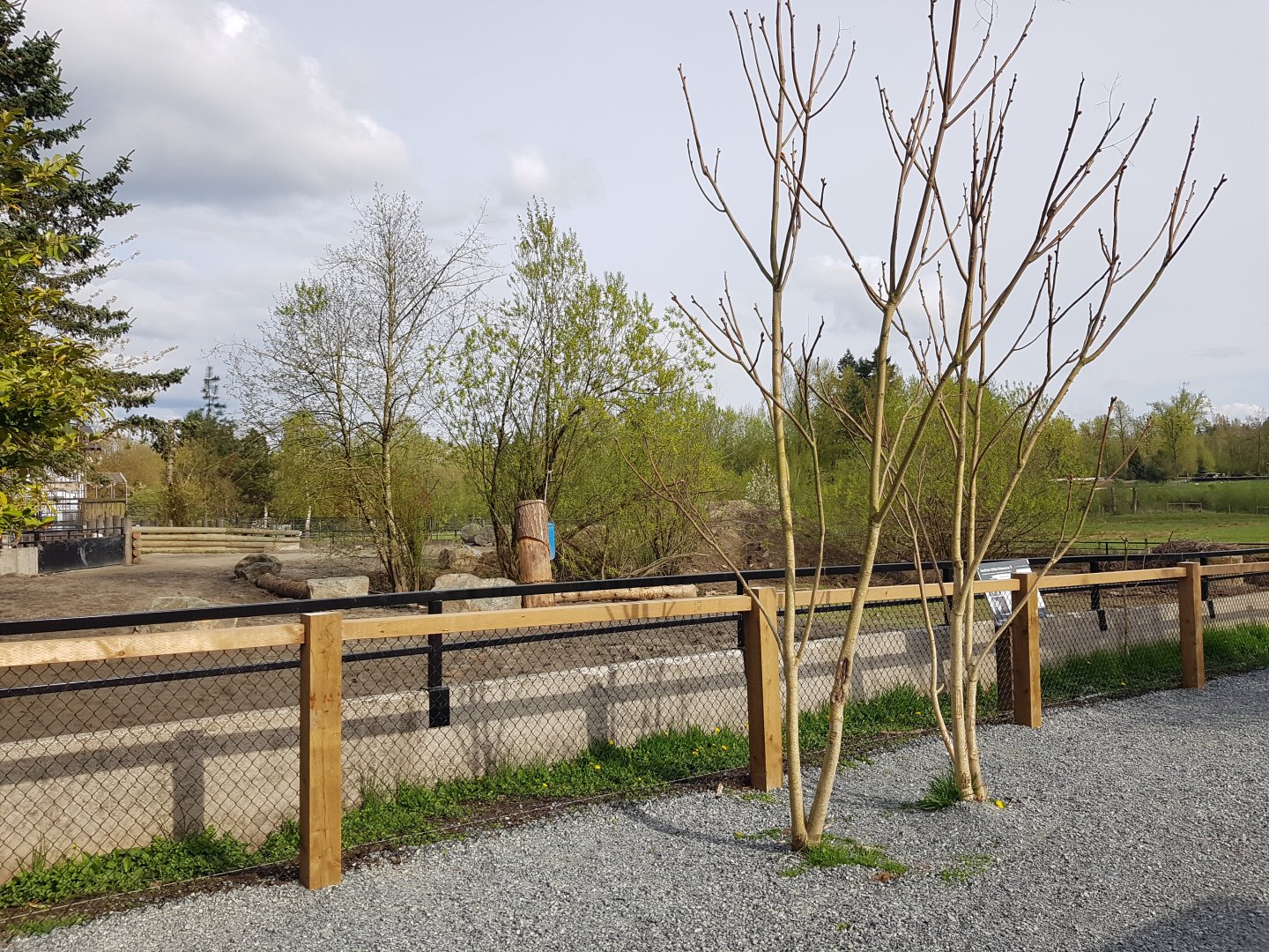 White Rhinoceros & Red River Hog Viewing Area