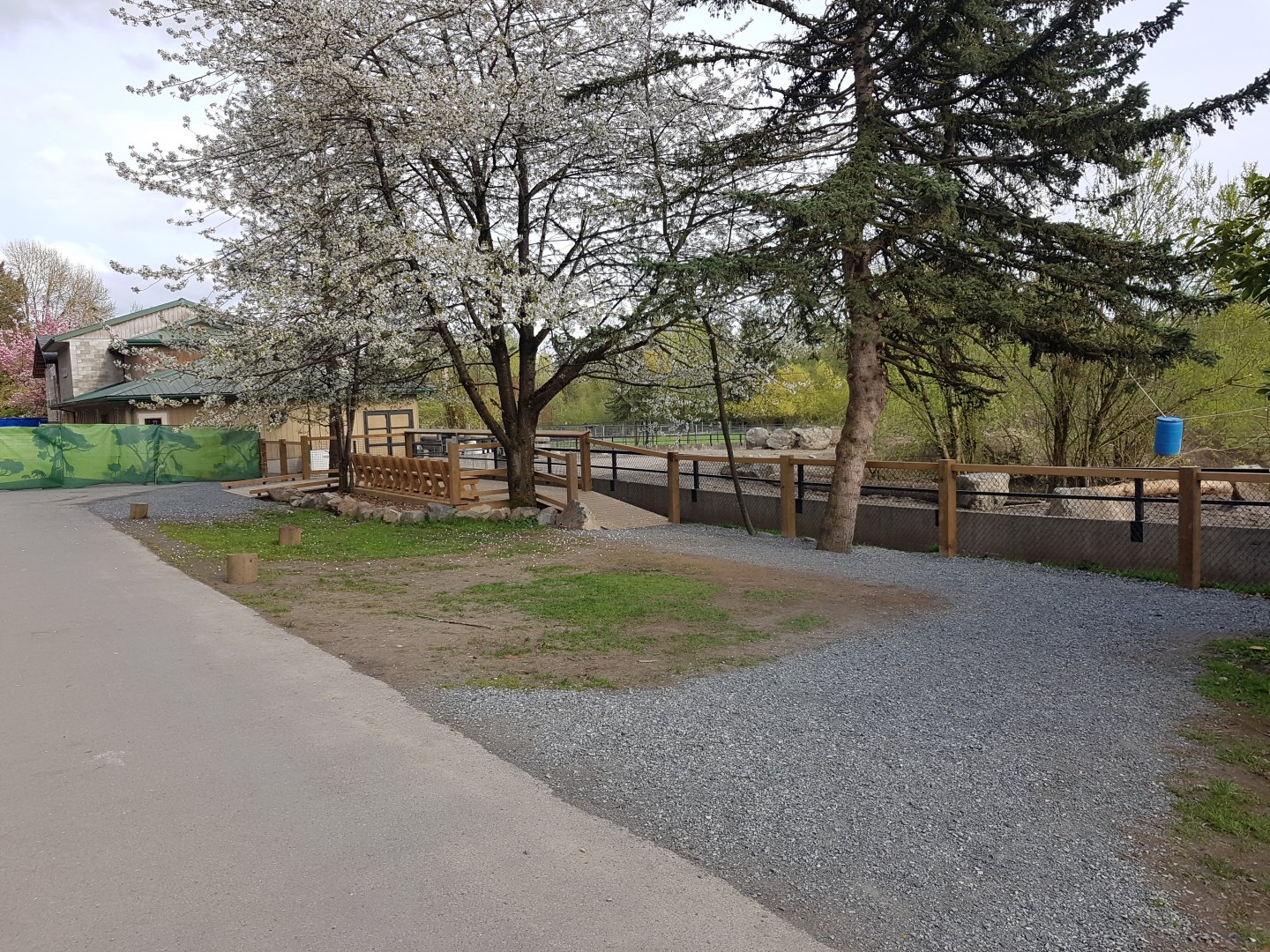 White Rhinoceros & Red River Hog Viewing Area