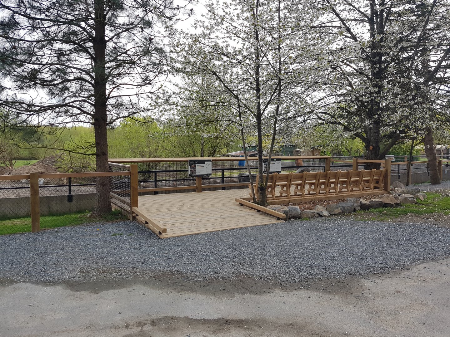 White Rhinoceros & Red River Hog Viewing Deck