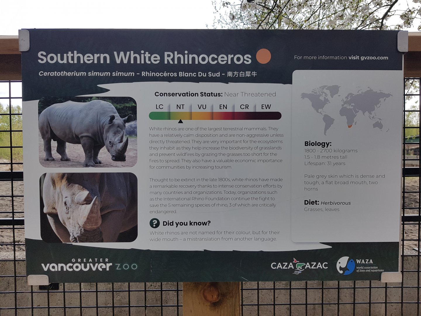 White Rhinoceros Sign
