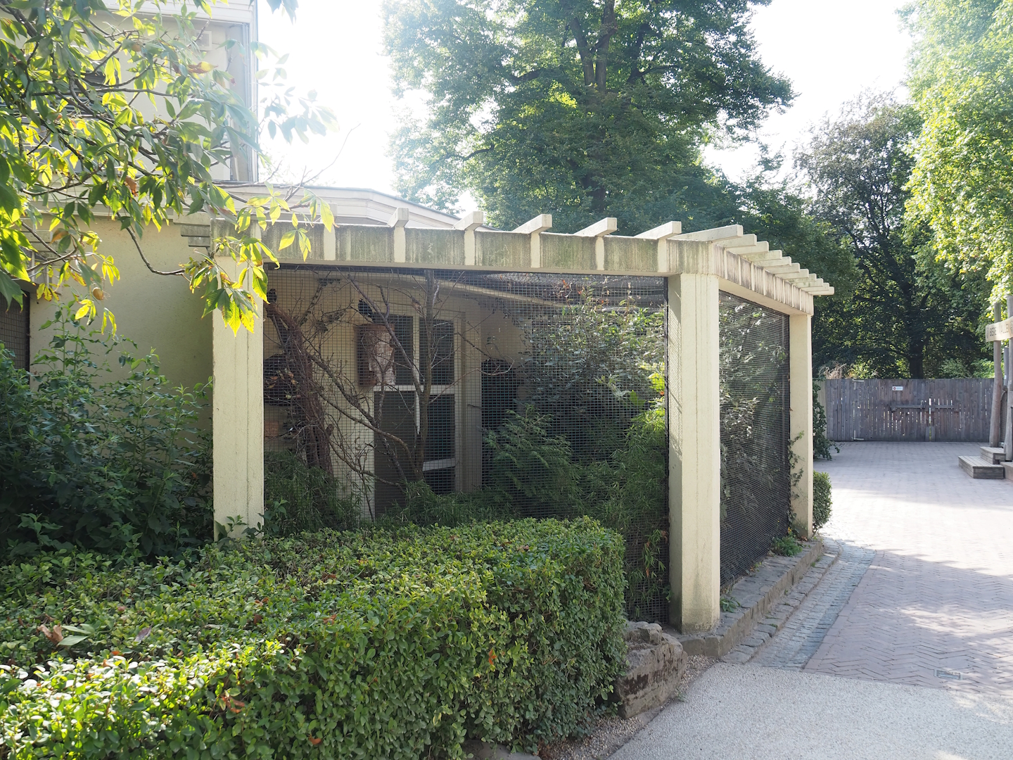 White-rumped shama and Greater hill myna aviary, 2022-09-04